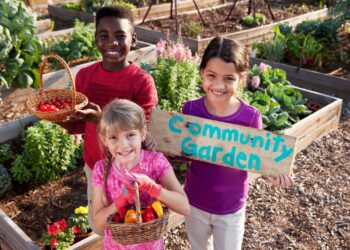 CREARE UNA COMUNITA’ LOCALE