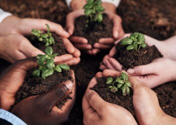 CREARE UNA COMUNITA’ LOCALE