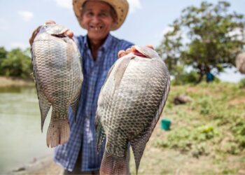 GUIDA PRATICA: COME CURARE UNA FERITA