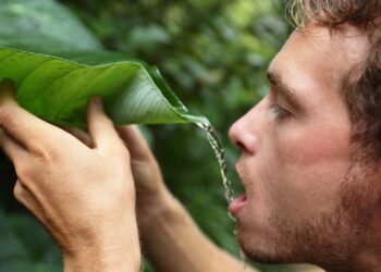 GLI ALIMENTI E NUTRIENTI