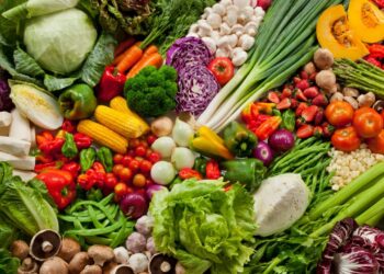 COLTIVAZIONE DI ALIMENTI: Le Verdure