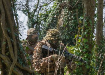 LA TECNICA DI MIMETIZZAZIONE