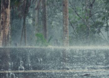 L’acqua piovana è potabile e sicura da bere?