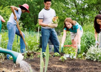 Come creare una comunità durante emergenze critiche