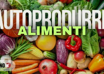 Tecniche di negoziazione e scambio in un’economia di crisi