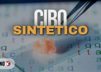 LA NUOVA GUERRA È UN PIANO SEGRETO PER IL CONTROLLO GLOBALE?