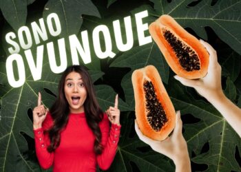 Cade un seme, cresce una pianta: la realtà del nostro Villaggio Heaven One