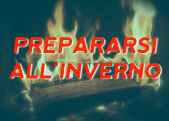 Comunità resilienti: perché l’unione fa la forza in tempi difficili